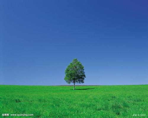 ǰ11¹ҵҵʵ57445Ԫ ͬ2.4%