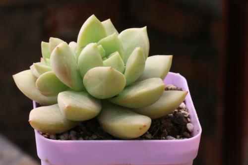 ·ą́Ê×·¢Êý×Ö»¯È«ÓòÏû·Ñʾ·¶Æ½Ì¨£¡Ò»¼ü¿ªÆô¡°·á²ÊÖ®Âᱡª¡ª