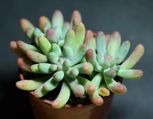 ÁªºÏ¹úÈËȨÀíÊ»áר¼ÒÇ´ÔðÃÀÉâÃâ4Ãûǰ