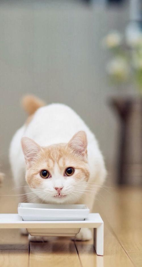 ר·ÃÖ¤¼à»áÊ×ϯÂÉʦ£ºÖ¤È¯¼¯ÌåËßËϽøÕ¹ÈçºÎ?