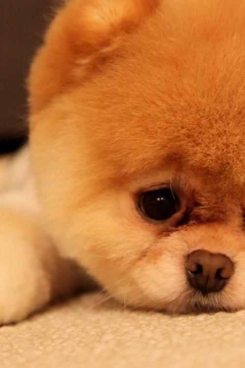 ÍÑÆ¶¹¥¼á|ɽ¶«Ò׵طöƶ°áǨƶÀ§ÈË¿ÚÈ«²¿Îȶ¨ÍÑÆ¶