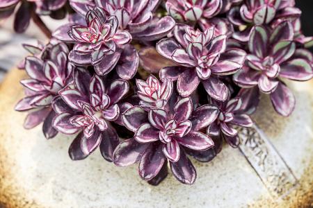 Öйú¸ßÖÊÁ¿¹ú¼ÊÂÛÎÄÊýÊÀ½çµÚ¶þ ¶àËù¸ßУ½øÈëǰ10