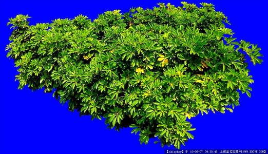 2021Ä긣½¨Ð¸߿¼·½°¸³ö¯£º