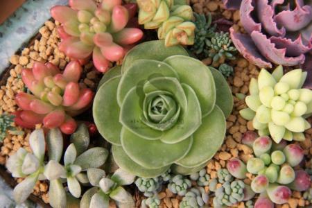 »ÿյѶһȺˡ롰һǡ˫򱼸