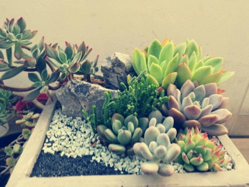 新冠暴露人类社会问题 需团结实现可持续发展目标